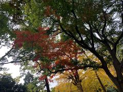 -青岛崂山太清宫
