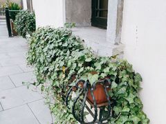 -也枫·小黄楼(南山路旗舰店)