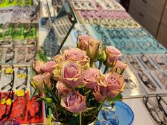 -天空之镜眼镜店蔡司依视路配镜授权零售店(望京颐堤港店)