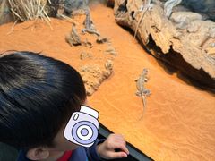 -费瑟代尔野生动物园