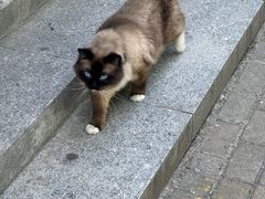 -家舍沐浴生活馆