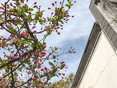 -江宁织造博物馆