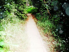 android_upload_pic-湖南烈士公园(芙蓉区)