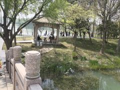 -渤公岛生态公园