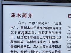 -金沙遗址博物馆