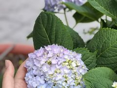 -Beans Solo豆号咖啡(百家湖花园店)