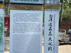 -荷花大观园