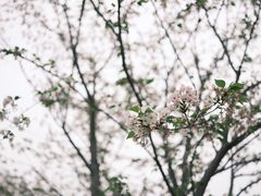 -武汉长江大桥