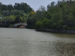 -塘沽森林公园