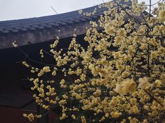 -钱王祠