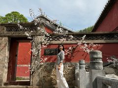 -潭柘寺景区