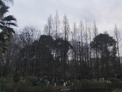 -苏州河梦清园环保主题公园