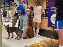 -帕帕拉兹宠物(亚洲旗舰店)