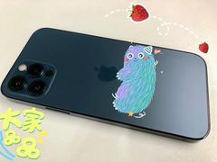 -Apple零售店(成都太古里店)