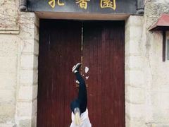 -南山植物园