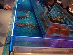 -海底捞火锅(长宁路龙之梦店)