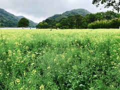 -广州市流溪河国家森林公园