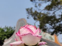 -宝墨园景区