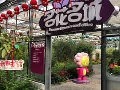 -南宫五洲植物乐园