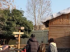 -HERRE·FARM 赫尔露营农场·团建聚会包场