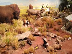 -陕西自然博物馆