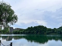 -杭州半山国家森林公园