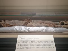 -巴音郭楞蒙古自治州博物馆
