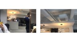 -蚂蚁造型沙龙