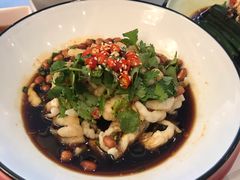 -高老庄新家宴(北斗星广场店)