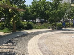 小区环境-康梦圆国际老年公寓