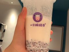 -一只酸奶牛(八一路店)