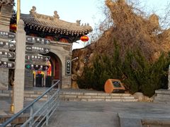 -大槐树寻根祭祖园