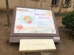 -和平区健康主题公园