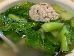 -丁老爷子苏香圆