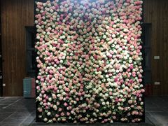 -百好乐宠物友好餐厅(朝外大街店)