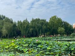 -太阳宫公园