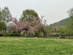 -南山风景名胜区