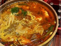 -沙胆彪炭炉牛杂煲(成都玉林店)