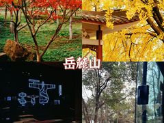 -岳麓山风景名胜区