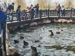 -华夏文旅海洋公园