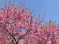 -白塘生态植物园