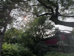 -北陵公园