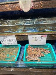 -胜利乐园(胜利购物广场店)