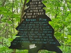 -五营国家森林公园