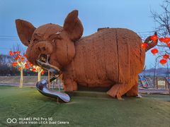 -淄博花灯齐彩城