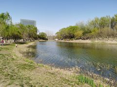 -大兴滨河森林公园