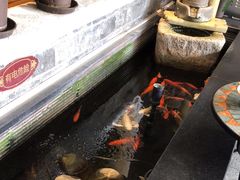 -红鼎坊·老成都火锅(新南门店)