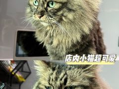 -pd派德宠物中心医院24H急重症·眼科中心·血液透析中心(嵩山北路店)