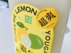 -奈雪的茶(中储能店)