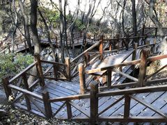 景点-大岭沟猕猴桃谷风景区